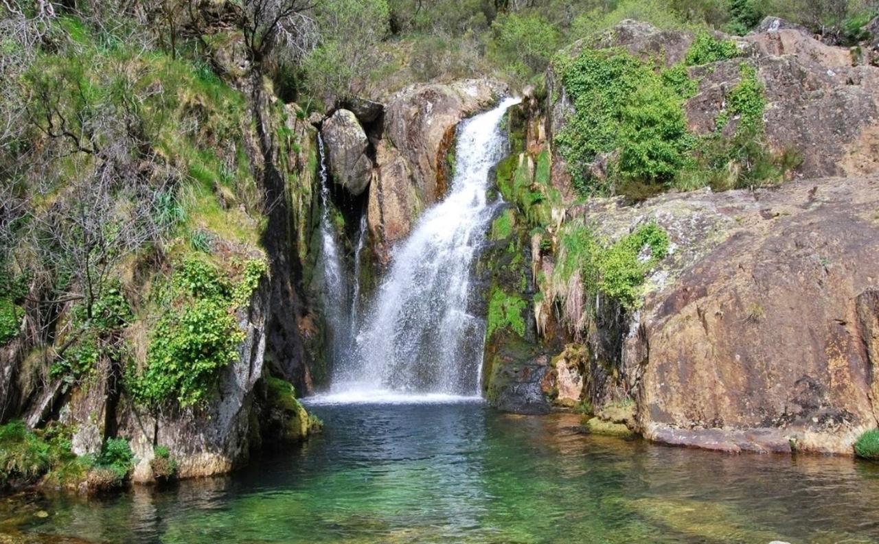 Arouca Passadicos Alojamento & Jacuzzi Екстериор снимка